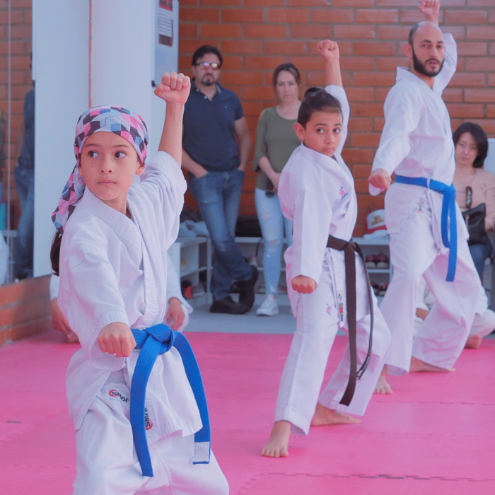 Entrenamiento Karate